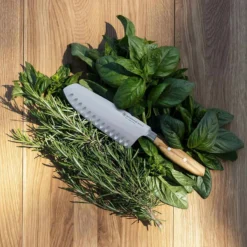 Wüsthof Amici Santokumesser 17 Cm -Koch Geheimnis Verkaufsgeschäft wusthof amici santoku 17 cm olive wood from calabria 2